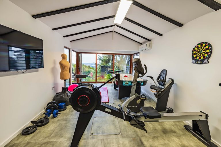 Teretana u lux villa ns